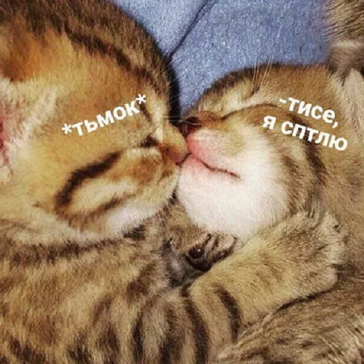 😙 Стикер «Кусь part 2» для Telegram