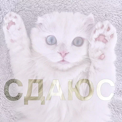 🧐 Стикер «Кусь part 2» для Telegram