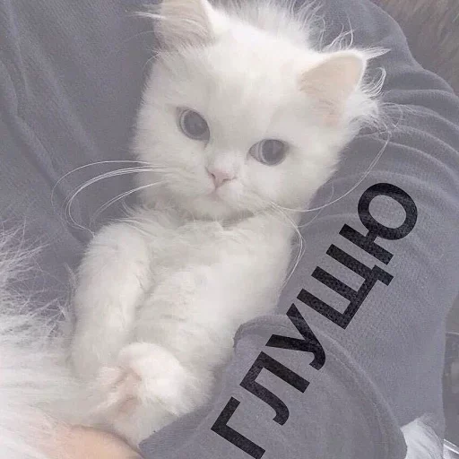 😚 Стикер «Кусь part 2» для Telegram