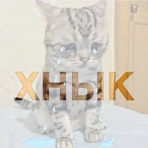 😚 Стикер «Кусь part 2» для Telegram