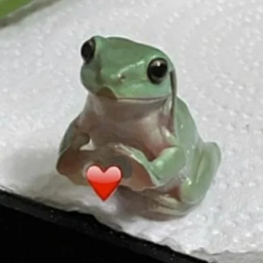 ❤️ Стикер «Квакушки» для Telegram