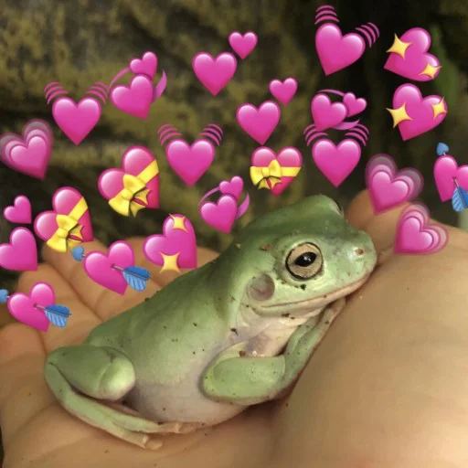 🥰 Стикер «Квакушки» для Telegram