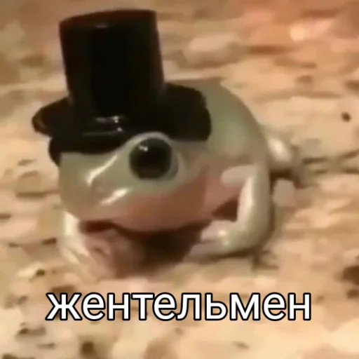 ☺ Стикер «Квакушки» для Telegram