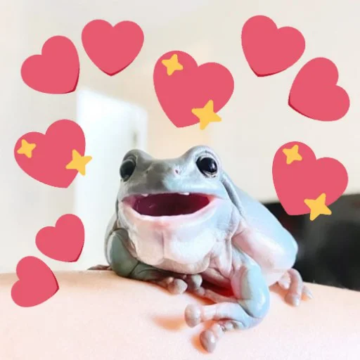 🥰 Стикер «Квакушки» для Telegram