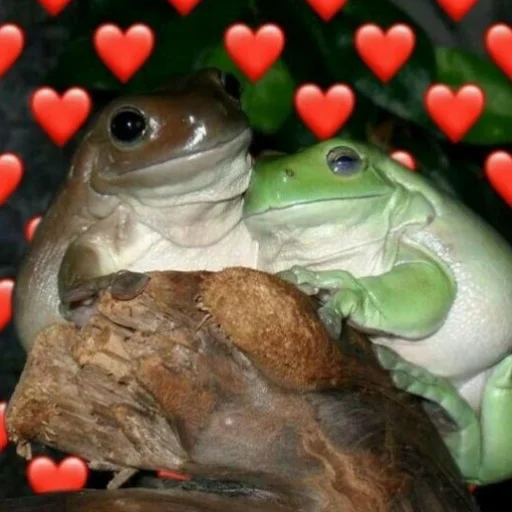 🥰 Стикер «Квакушки» для Telegram