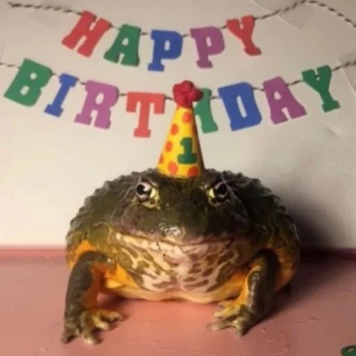 🎂 Стикер «Квакушки» для Telegram
