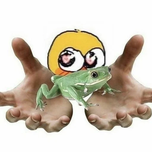☺️ Стикер «Квакушки» для Telegram