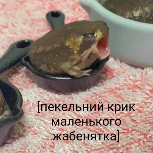 🐸 Стикер «Квакушки» для Telegram
