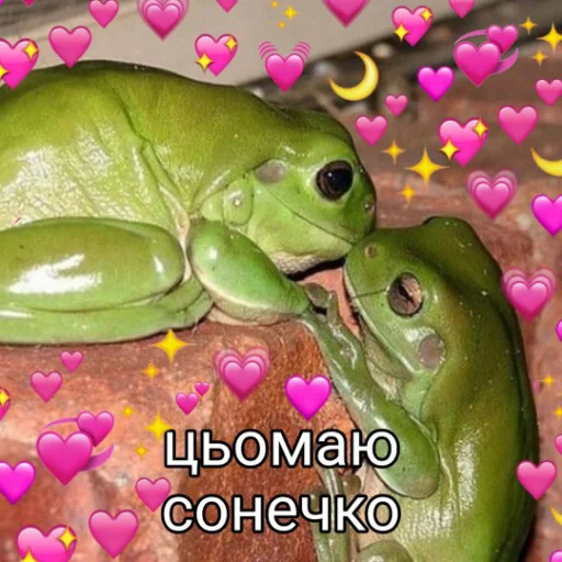 💕 Стикер «Квакушки» для Telegram
