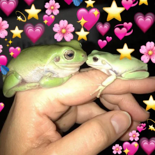💕 Стикер «Квакушки» для Telegram
