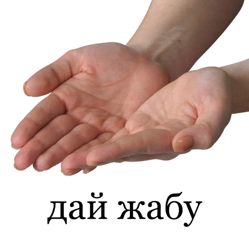 🤲 Стикер «Квакушки» для Telegram