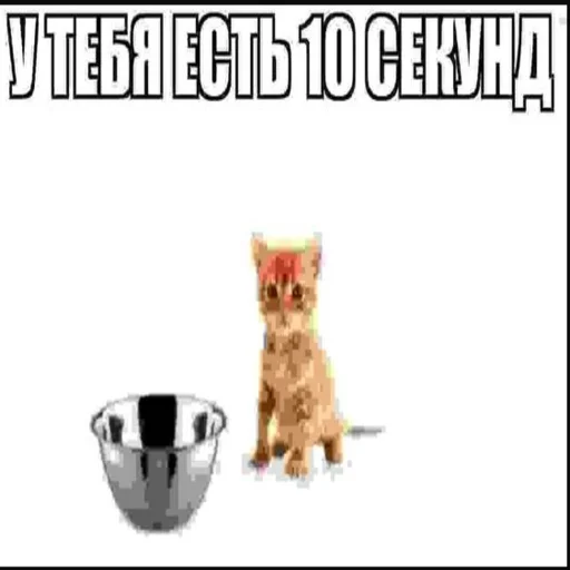 🥘 Стикер «kwladlwa» для Telegram