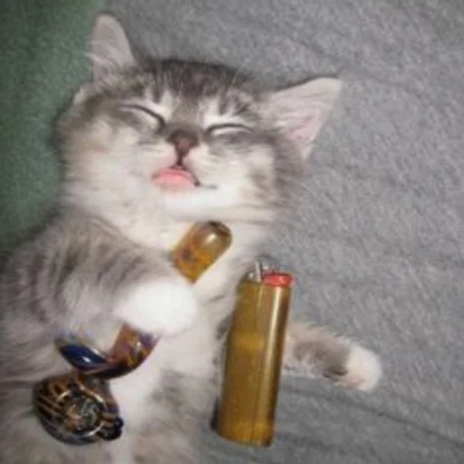 🚬 Стикер «kwladlwa» для Telegram