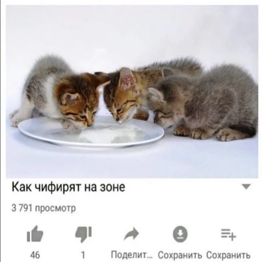 🥛 Стикер «kwladlwa» для Telegram