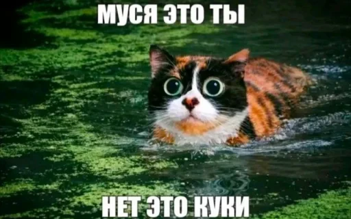 🤩 Стикер «КУКI» для Telegram