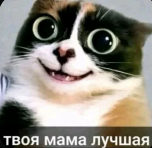🤩 Стикер «КУКI» для Telegram