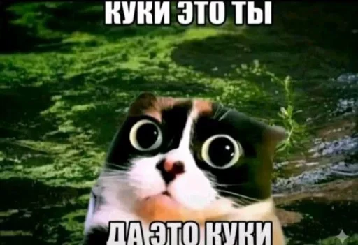🤩 Стикер «КУКI» для Telegram