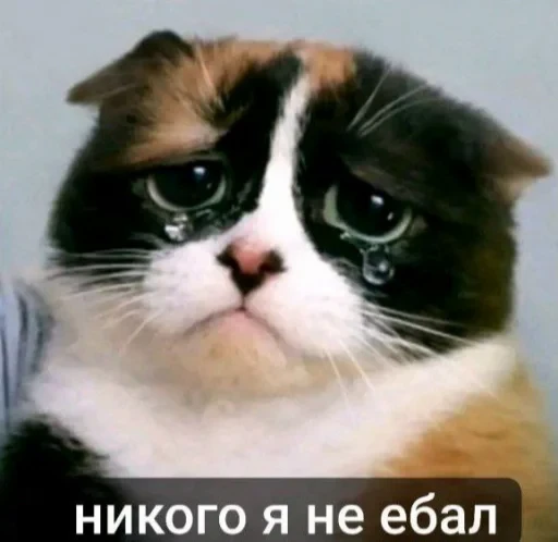 🤩 Стикер «КУКI» для Telegram