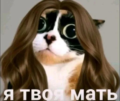 🤩 Стикер «КУКI» для Telegram