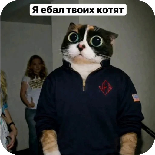 👖 Стикер «КУКI» для Telegram