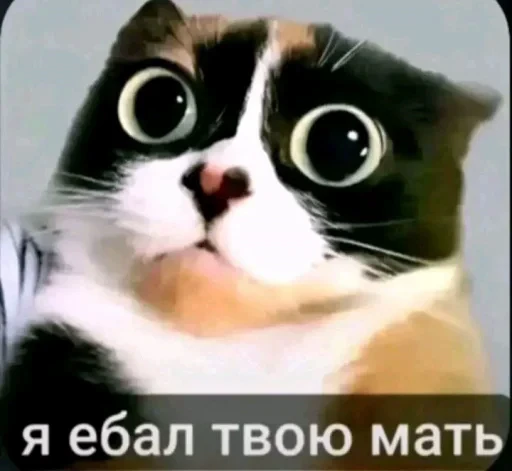 Стикерпак КУКI для Telegram