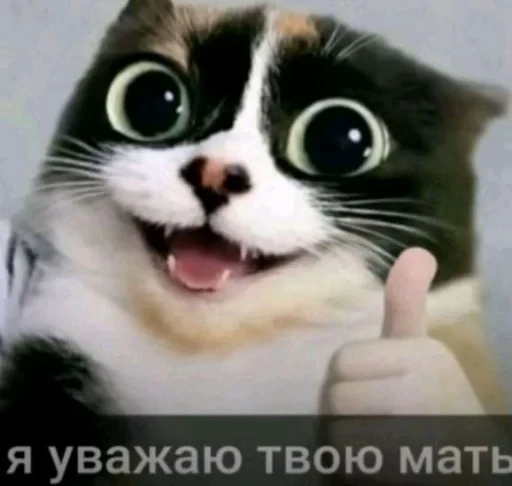 🤩 Стикер «КУКI» для Telegram