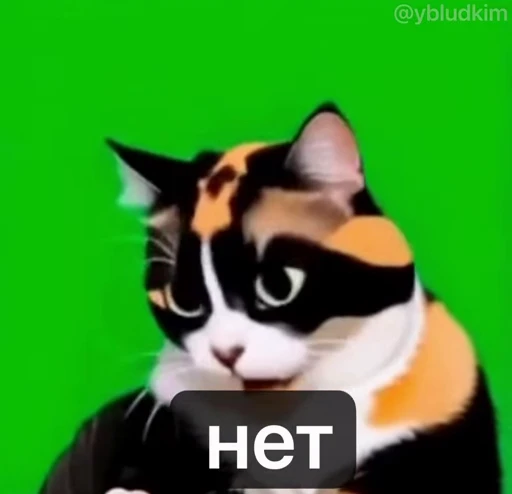 🤩 Стикер «котость из мурино» для Telegram