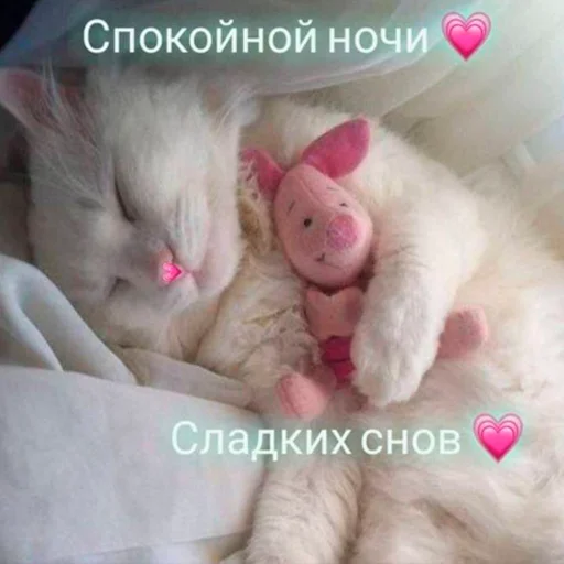❤️ Стикер «nya pack» для Telegram