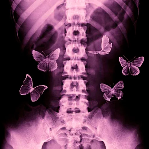 🦋 Стикер «nya pack» для Telegram