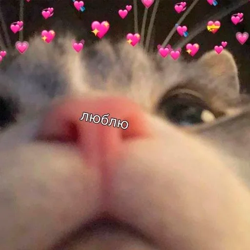 ❤️ Стикер «nya pack» для Telegram