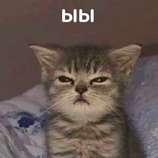 😾 Стикер «nya pack» для Telegram