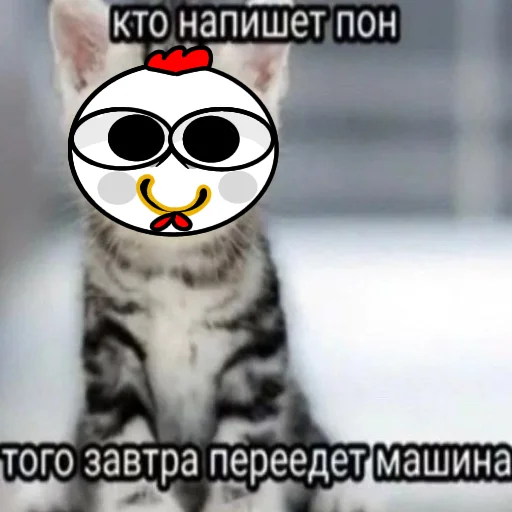 🤗 Стикер «Курочка загадка» для Telegram
