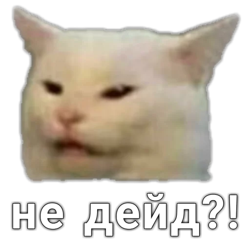 🤨 Стикер «шушун» для Telegram