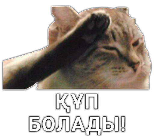👌 Стикер «шушун» для Telegram