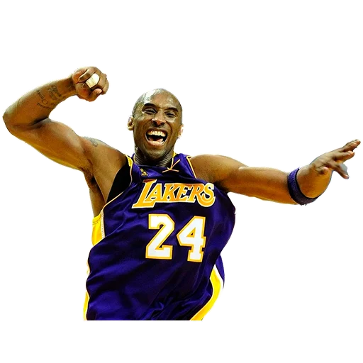 🤩 Стикер «Lakers Nation» для Telegram