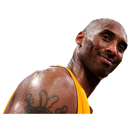 🙃 Стикер «Lakers Nation» для Telegram