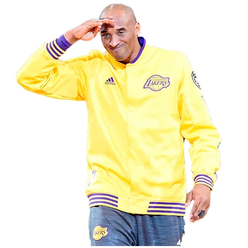 🧐 Стикер «Lakers Nation» для Telegram