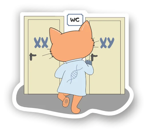 🚻 Стикер «LabHub» для Telegram