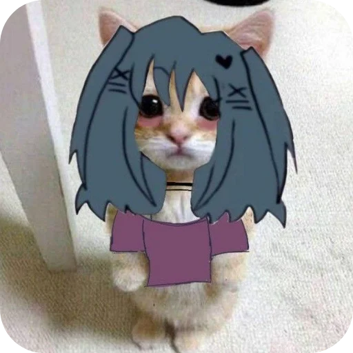 🐱 Стикер «Laceys Wardrobe» для Telegram