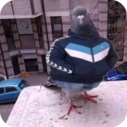 🕊 Стикер «Ладно» для Telegram