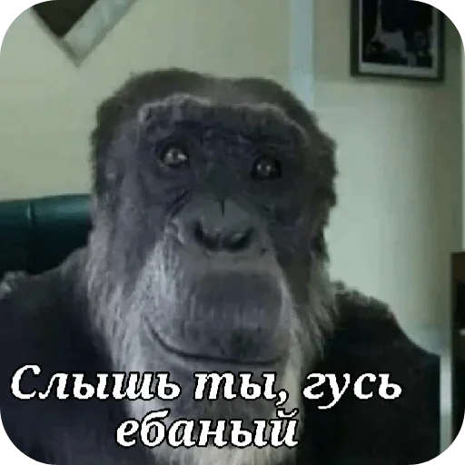 😡 Стикер «Ладно» для Telegram