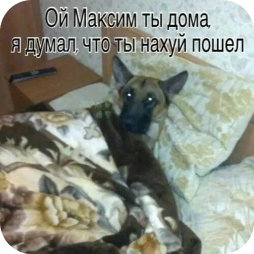 😨 Стикер «Ладно» для Telegram