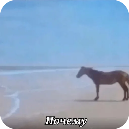 🧐 Стикер «Ладно» для Telegram