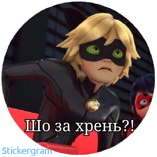 😳 Стикер «Lady bug Cat noir» для Telegram