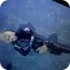 Стикер 19 Lady Gaga