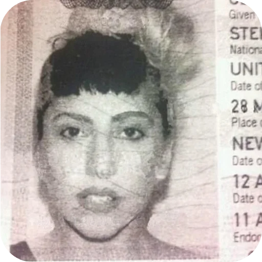 🦥 Стикер «LADY GAGA» для Telegram
