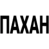 ♣️ Эмодзи «Лагерь Текст» для Telegram