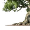 Стикер 32 nature lake emoji