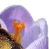 Стикер 31 nature lake emoji