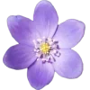 Стикер 27 nature lake emoji